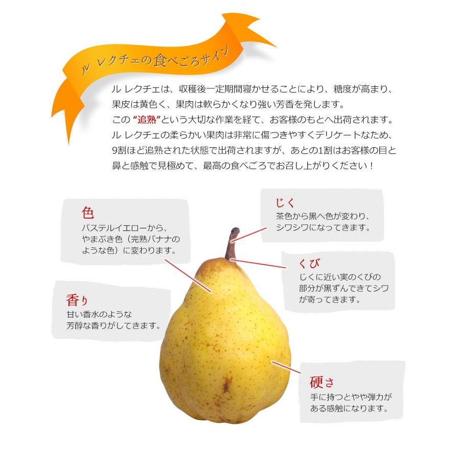 市場 冬 新潟県産 洋ナシ フルーツ 果物 梨 ギフト ルレクチエ ルレクチェ Gift 計1kg前後 レクチェ ラフランス ル 洋梨 お歳暮 西洋梨