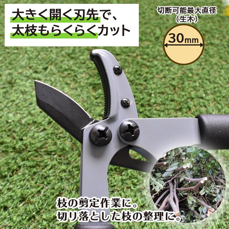 刈り込み鋏 刈込鋏 OM-300 ラクぎりミニ 太枝切鋏 鋼典 かねのり