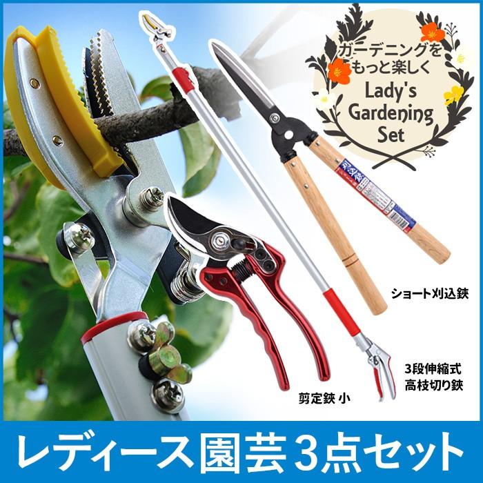 ガーデニング用品 レディース園芸3点セット 3段伸縮式 軽量 鋸替刃