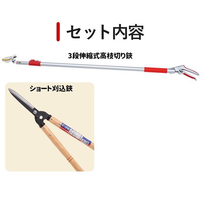 ガーデニング用品 レディース園芸2点セット 3段伸縮式 高枝切りバサミ
