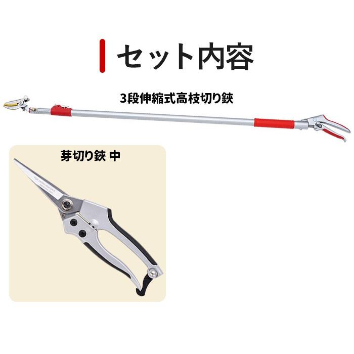 ガーデニング用品 レディース園芸2点セット 3段伸縮式 高枝切りバサミ 