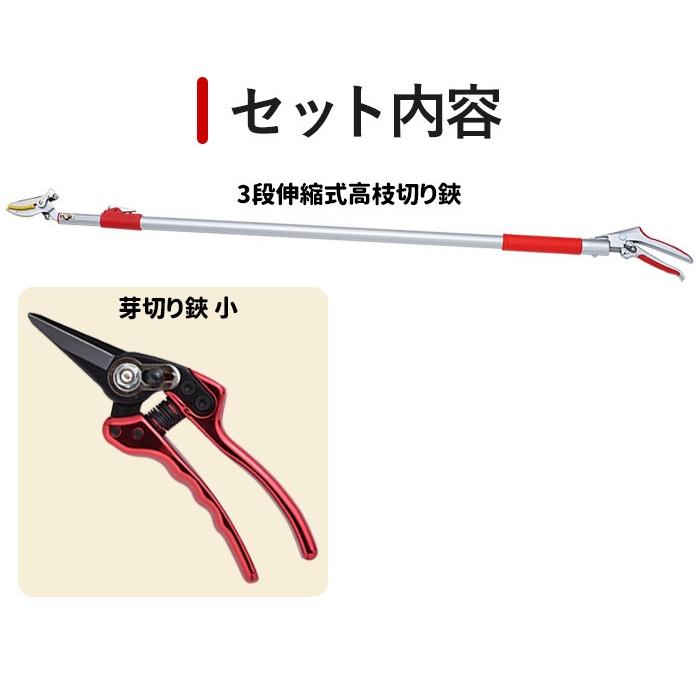 剪定バサミ 剪定ハサミ 剪定鋏 剪定はさみ 高枝切りバサミ ガーデニング ガーデニング用品 レディース園芸2点セット 3段伸縮式 高枝切りバサミ