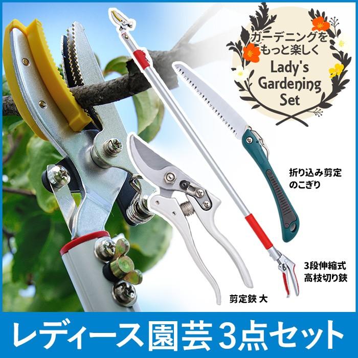 レディース園芸3点セット 3段伸縮式高枝切鋏 のこぎり ノコギリ 剪定鋏 はさみ 剪定鋏 ガーデニング 枝切 園芸 高枝切りばさみ R3 Tk 9 4 ワクイショップ 通販 Yahoo ショッピング