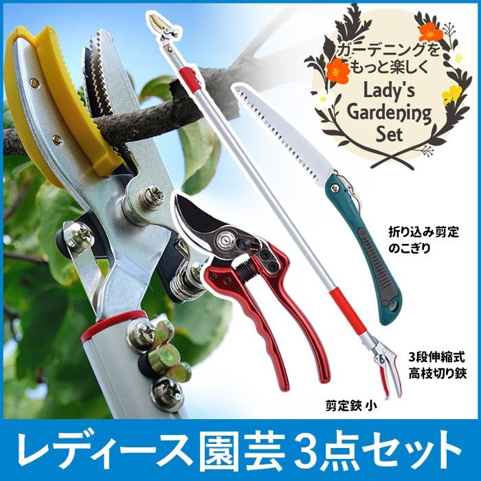レディース園芸3点セット 3段伸縮式高枝切鋏 のこぎり ノコギリ 剪定鋏 剪定鋏 業務 産業用 はさみ 剪定鋏 高枝切りばさみ R3 Tk 9 6 高枝切りばさみ ガーデニング 園芸 ワクイショップ 激安 ショップ店舗 の