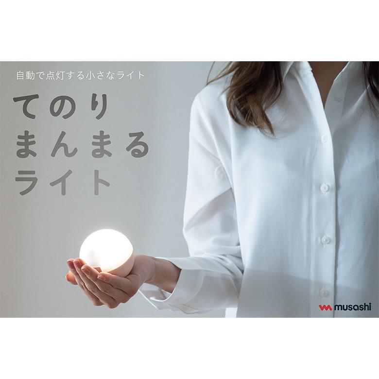 LEDセンサーライト ムサシ RITEX てのりまんまるセンサーライト