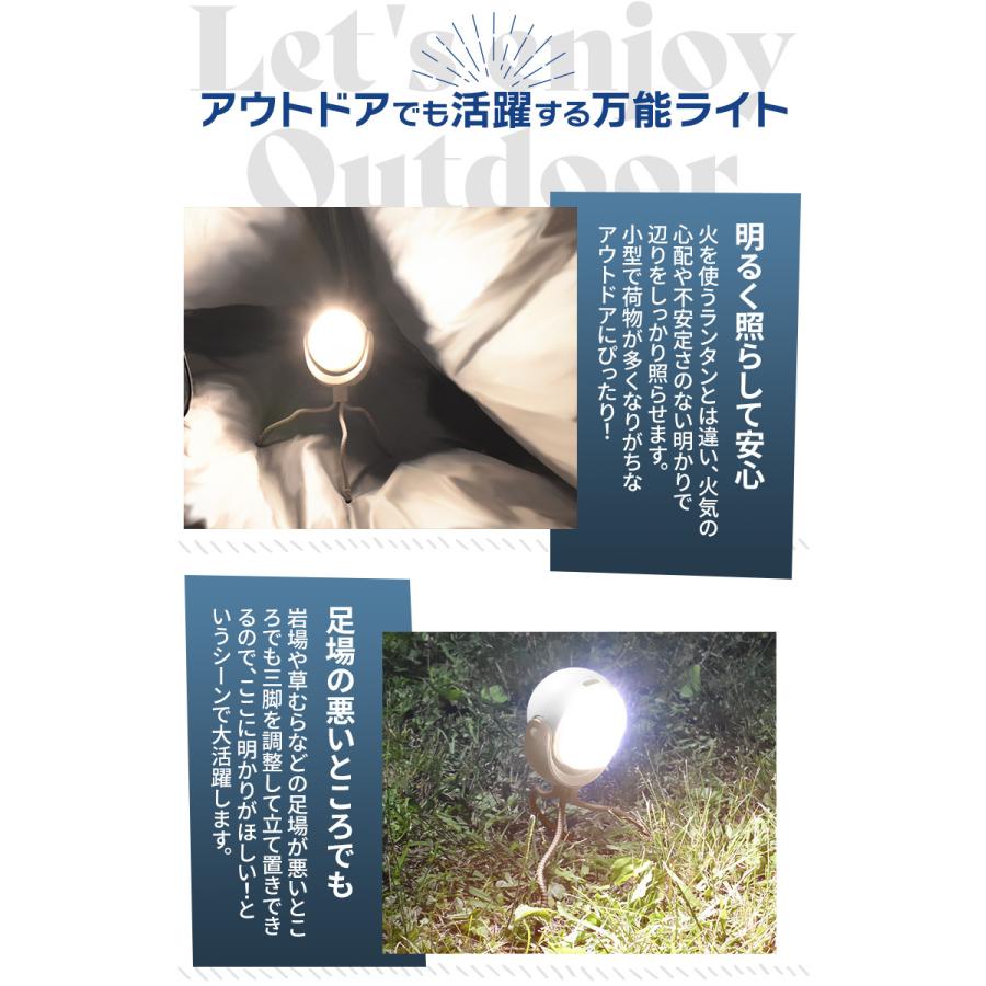 まるまる まるふじ 別誂 チョクリ真鯛 ケイムラ極細サバ皮シラス D-453 7