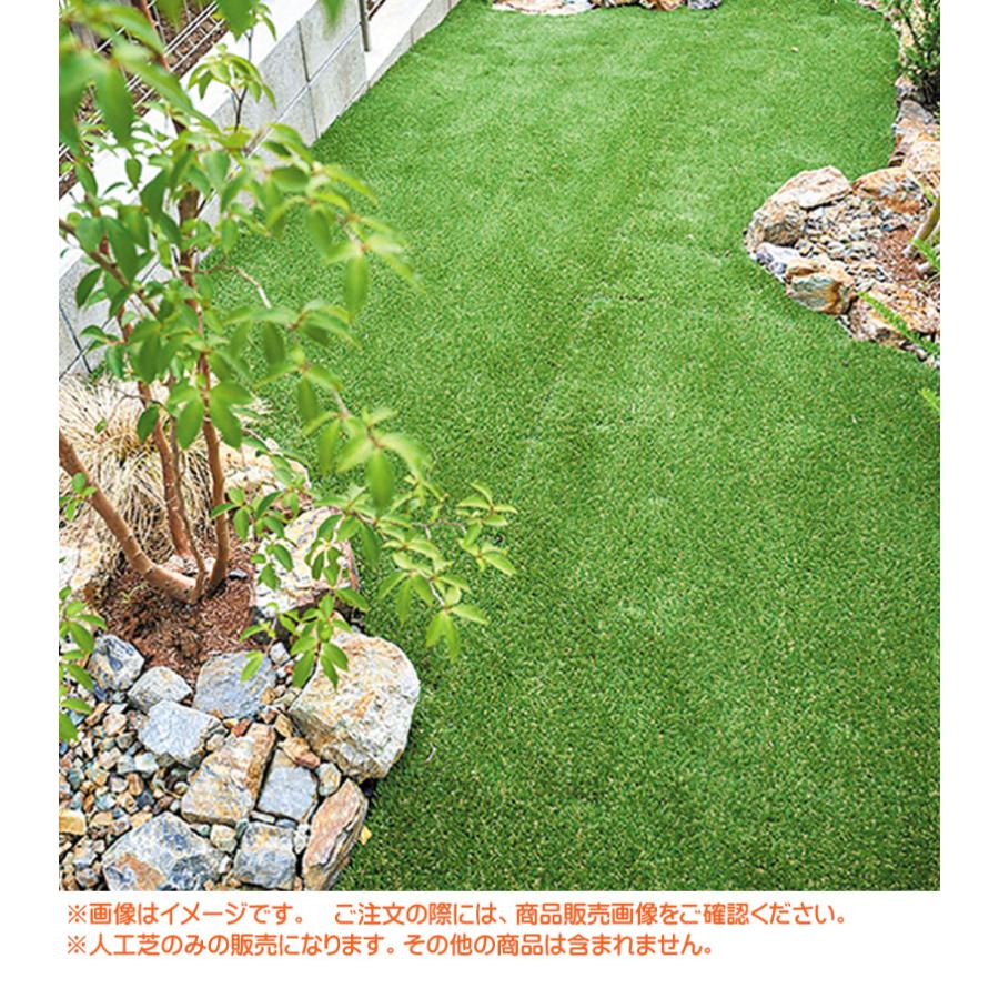 人工芝 リアルグラス人工芝SG 抗菌 高耐久 高密度 1M×10M パイル長