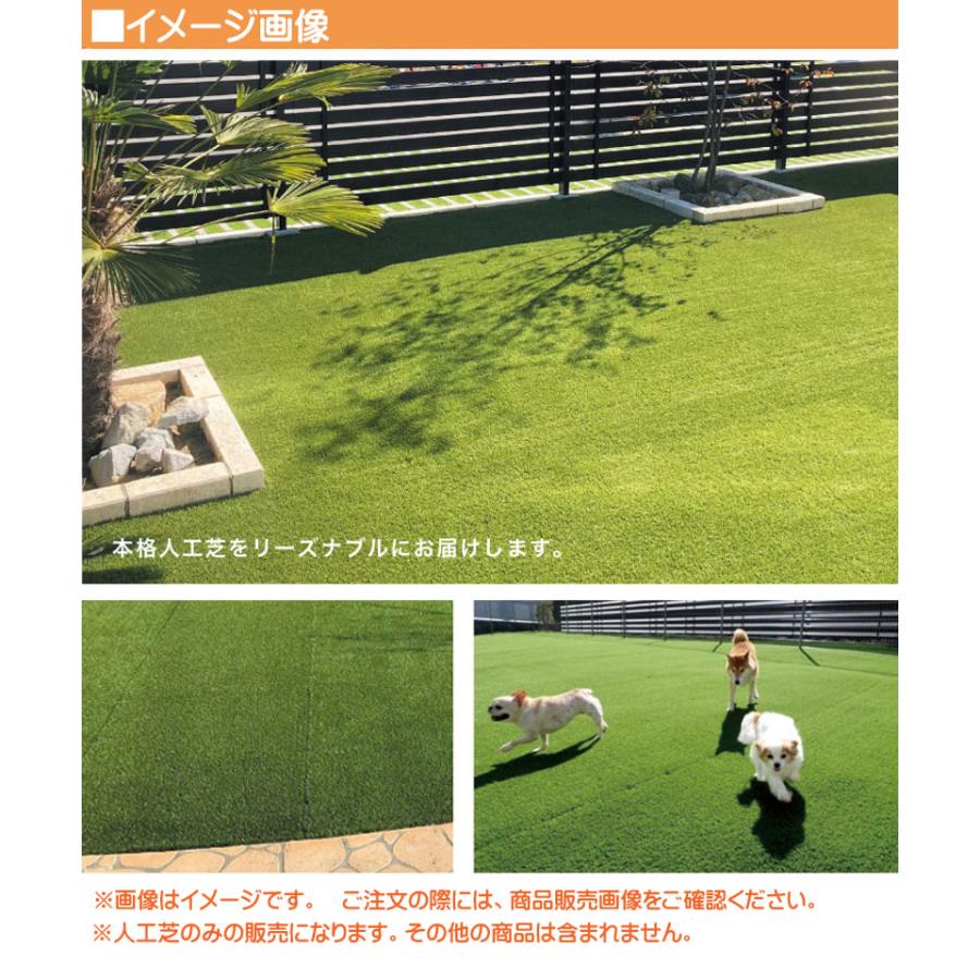 人工芝 プロターフ・プレミアム 110 抗菌 高耐久 高密度 1M