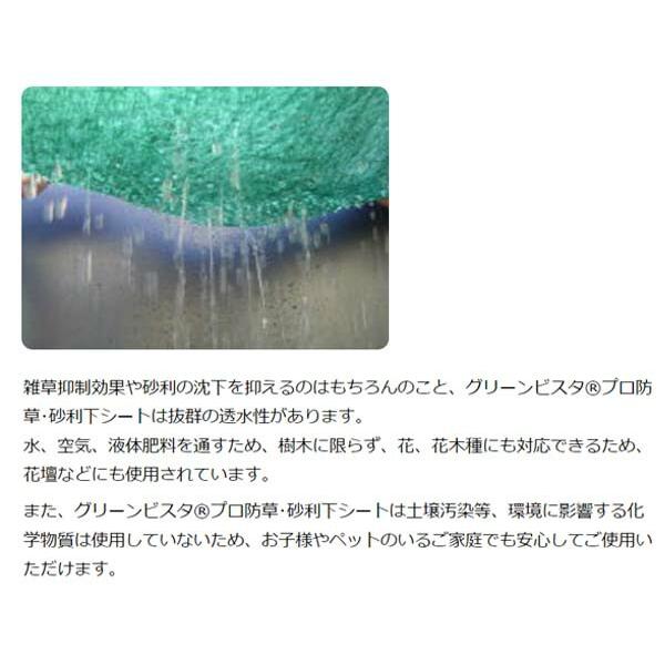 防草 砂利下シート グリーンビスタ プロ 136J プラピン50本付き