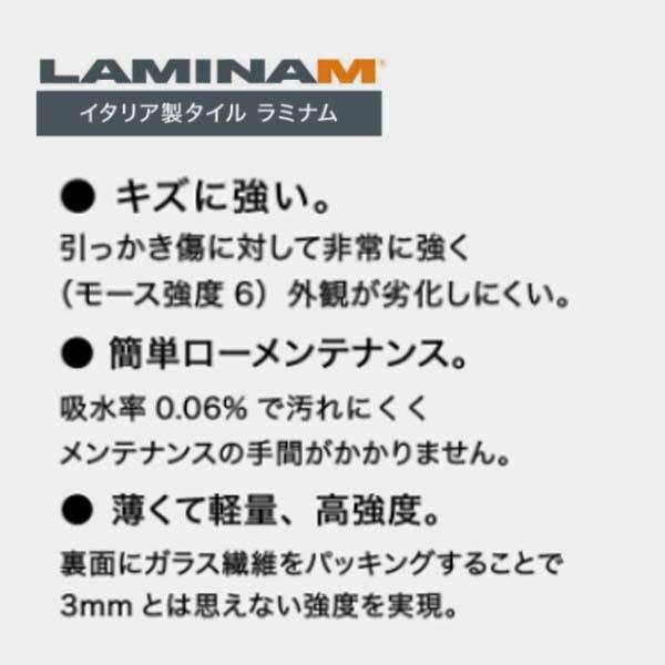 機能門柱　ラミナムプラスフレーム機能門柱　本体のみ　ブラック　機能ポール　2点セット　戸建て　オキサイド　ネロ色　表札　オンリーワン　送料無料