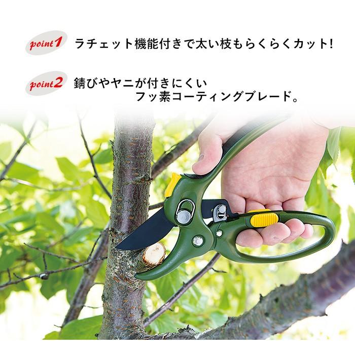 ガーデニング パワーアップ剪定鋏（替刃式）（SGS-30） 剪定鋏