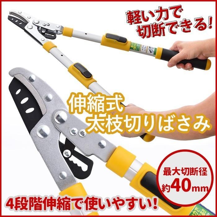 逸品】 ラチェット式 life_mart life_mart 枝切り鋏 園芸用はさみ 高枝切りバサミ 枝切り 庭木 伸縮タイプ 3cm切断能力 剪定ばさみ 太枝切鋏 - 剪定用具 - www.amf46.fr 逸品】 ラチェット式 life_mart life_mart 枝切り鋏 園芸用はさみ 高枝切りバサミ 枝切り 庭木 伸縮タイプ 3cm切断能力 剪定ばさみ 太枝切鋏 - 剪定用具 - www.amf46.fr