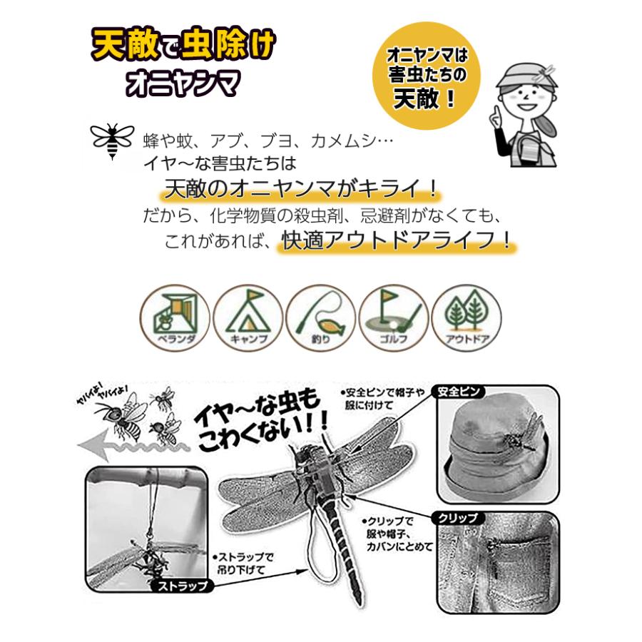 ハートランダー様　虫 ハートランダー様 虫