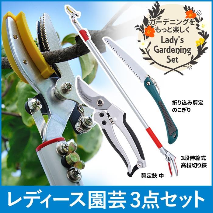 初回限定 レディース園芸3点セット 3段伸縮式高枝切鋏 のこぎり ノコギリ 剪定鋏 はさみ 剪定鋏 ガーデニング 枝切 園芸 高枝切りばさみ 海外正規品 Wwf Limeloop Se