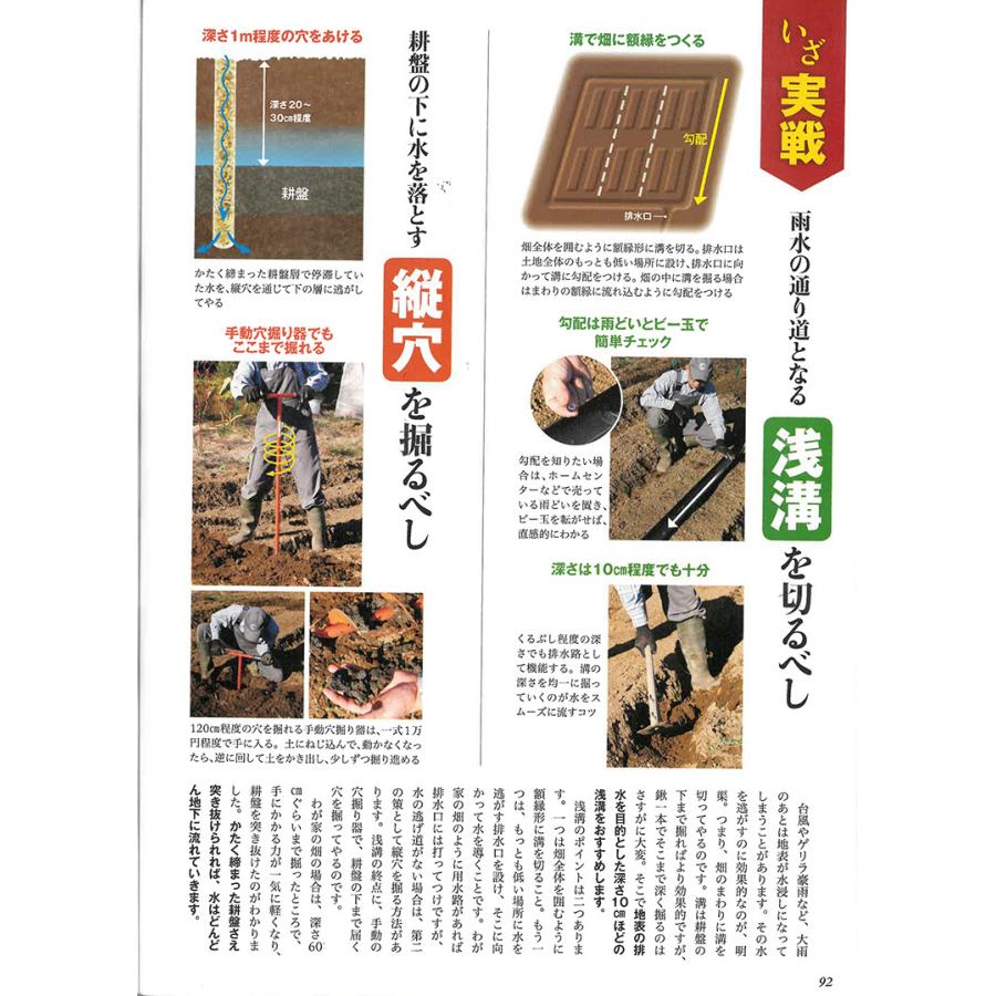 観音寺 園芸 農業 穴堀り 土の穴開け 苗植え作業に スパイラルボーラー 75ｍｍ 試し堀りのみ？ 穴掘り器 スパイラルボーラー 取替式 SB-075-R 穴掘り機 道具 穴掘り