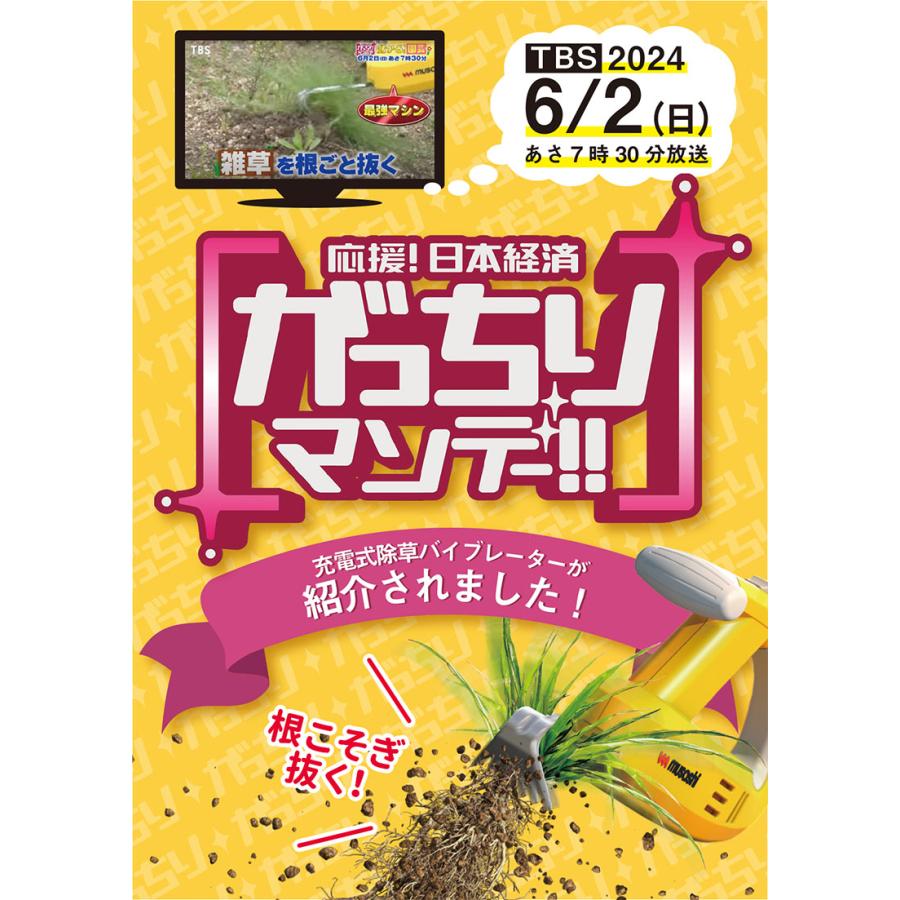 大人気商品再入荷! 草刈り機 草取り 充電式除草バイブレーター 大人気商品再入荷! 草刈り機 草取り 充電式除草バイブレーター