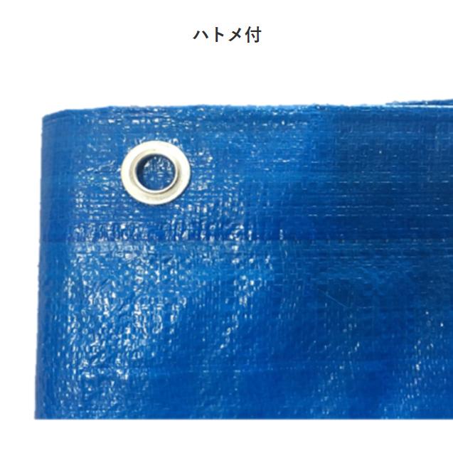 ブルーシート 10m×10m ＃3000 厚手 OTS 2枚入 : ワークツールの袋屋