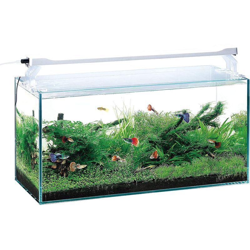 ジェックス クリアLED POWER SLIM 600 ブラック 観賞魚用 2YOQYzrj3I, 熱帯魚、アクアリウム用品 - centralcampo.com.br ジェックス クリアLED POWER SLIM 600 ブラック 観賞魚用 2YOQYzrj3I, 熱帯魚、アクアリウム用品 - centralcampo.com.br