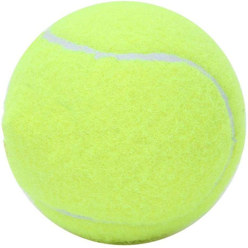 1523円 【限定製作】 12Pcsテニスボールトレーニングテニスボール練習ボールはメッシュキャリーバッグ付きでトレーニングプレイエクササイズ用
