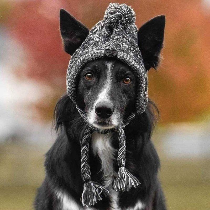 Hitasi かっこいい犬用帽子 ニット ペットコ ペット帽子 ペット用キャップ マフラー 可愛い 暖かくぶりもの 柔らかい 犬猫用ウィッグ 最安値挑戦 ニット