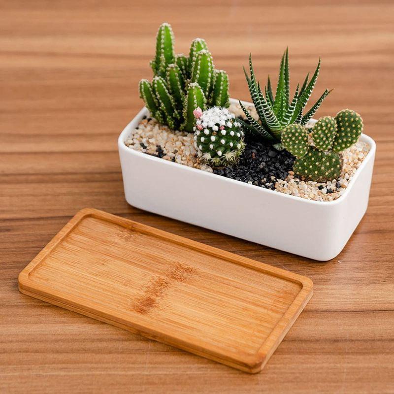 陶器鉢 植木鉢 白 ホワイト多肉植物鉢 サボテン鉢 プランター容器 竹トレー付き 底穴付き インテリア ベランダ 観葉植物 オフィスギフト :20220610230333-00139:ワクワク本舗 - 通販 - Yahoo!ショッピング 陶器鉢 植木鉢 白 ホワイト多肉植物鉢 サボテン鉢 プランター容器 竹トレー付き 底穴付き インテリア ベランダ 観葉植物 オフィスギフト :20220610230333-00139:ワクワク本舗 - 通販 - Yahoo!ショッピング