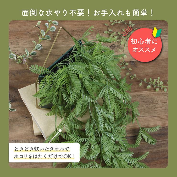 人工観葉植物 フェイクグリーン ミモザ ハンギング 壁掛け 吊り下げ 人工植物 観葉植物 おしゃれ フェイク 造花 グリーン インテリア｜wakuwaku-land｜07