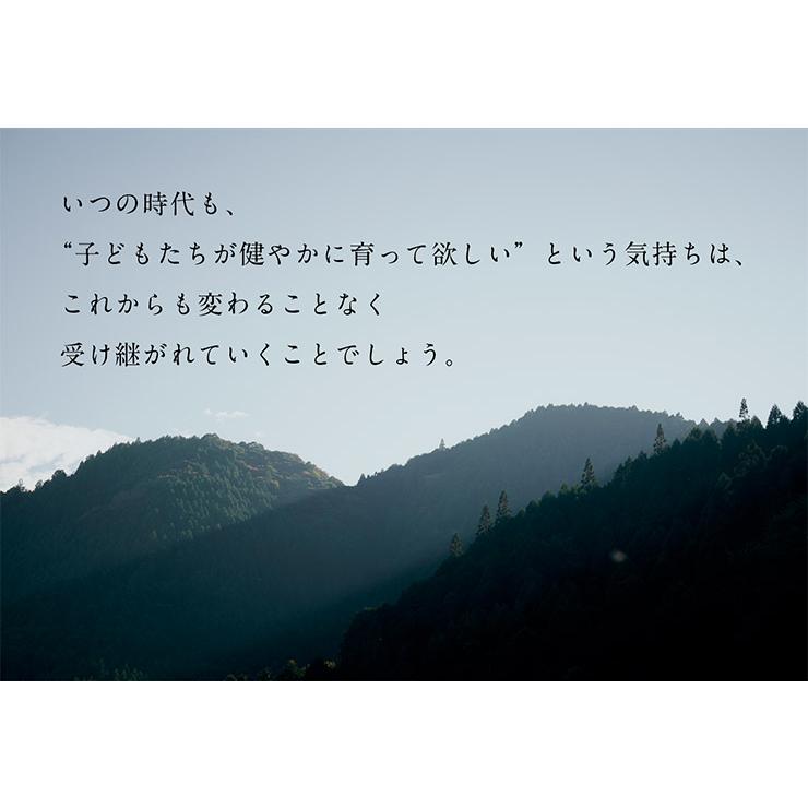 日本製 鯉のぼり こいのぼり 室内用 置物 木製 名入れ無料 名前札付き 五月人形 吊るしタイプ こどもの日 初節句 男の子 端午の節句 無垢材 コンパクト｜wakuwaku-land｜20