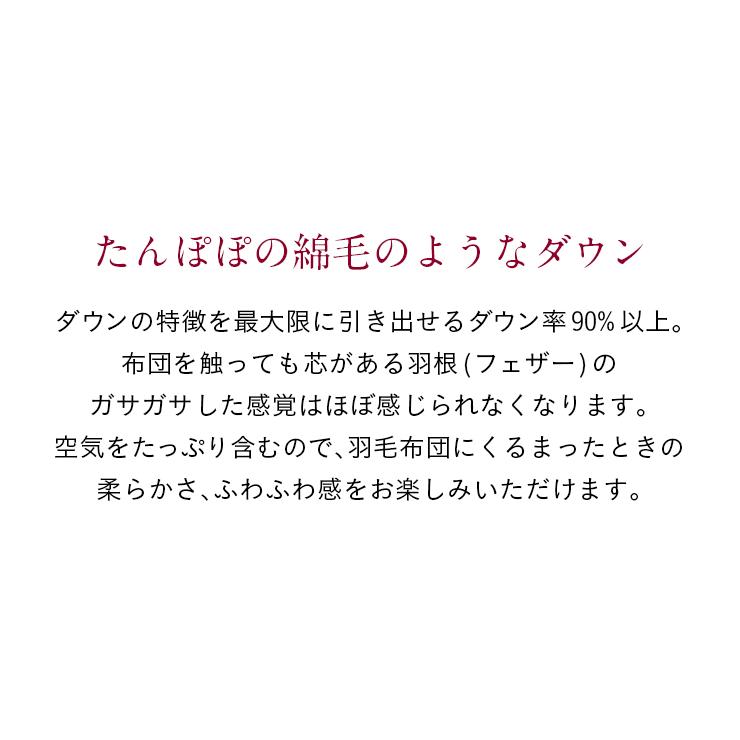 日本製 ポーランド産羽毛使用 ゴールドラベル 羽毛掛け布団 羽毛布団 布団 掛布団 かけ布団 抗菌 防臭 子供 大人 国産 D ダブルサイズ ダブル 190x210cm｜wakuwaku-land｜09