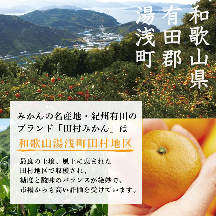みかん 缶詰 フルーツ 缶 国産みかん缶 紀州有田 田村みかん 大粒使用
