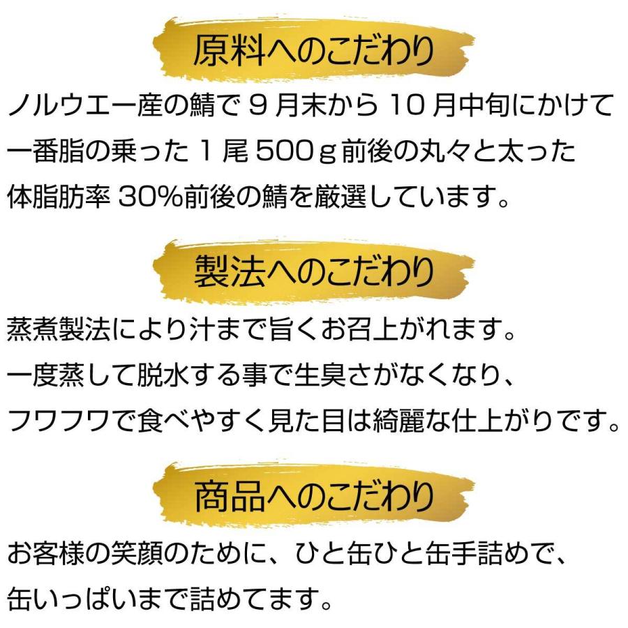 福井缶詰 マーメイド印 鯖 水煮 缶詰 サバ ノルウェー産 新鮮 鯖缶 セット 脂乗り 家呑み おかず 炊き込 巣ごもり 81 以上節約 保存食 魚 期間限定 贈り物 備蓄 食料 酒の肴