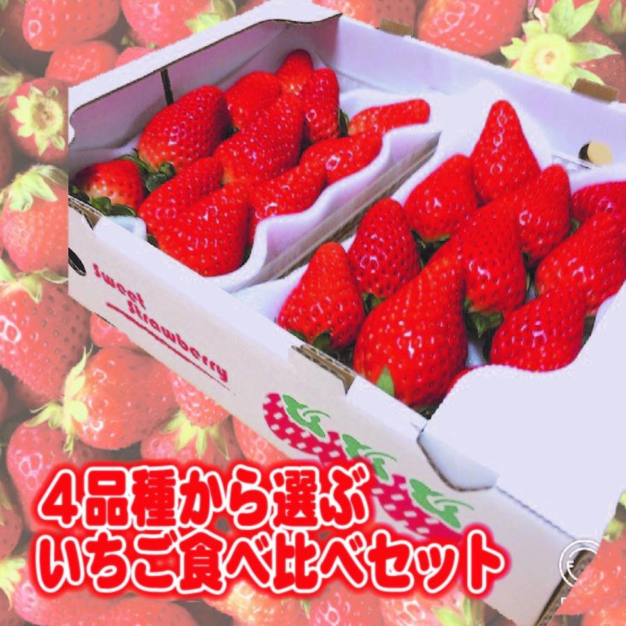 クール便紅ほっぺいちご20パック クール便紅ほっぺいちご20パック
