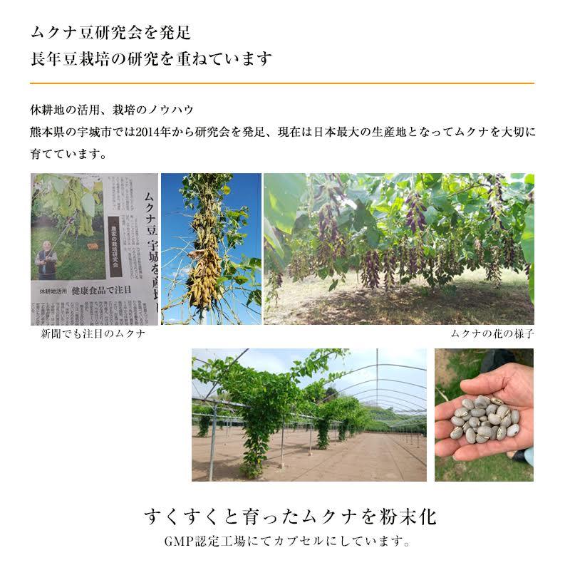 ムクナ豆 サプリメント 国産ムクナ豆 ムクナサプリ(30カプセル ムクナ豆 サプリメント 国産ムクナ豆 ムクナサプリ(30カプセル