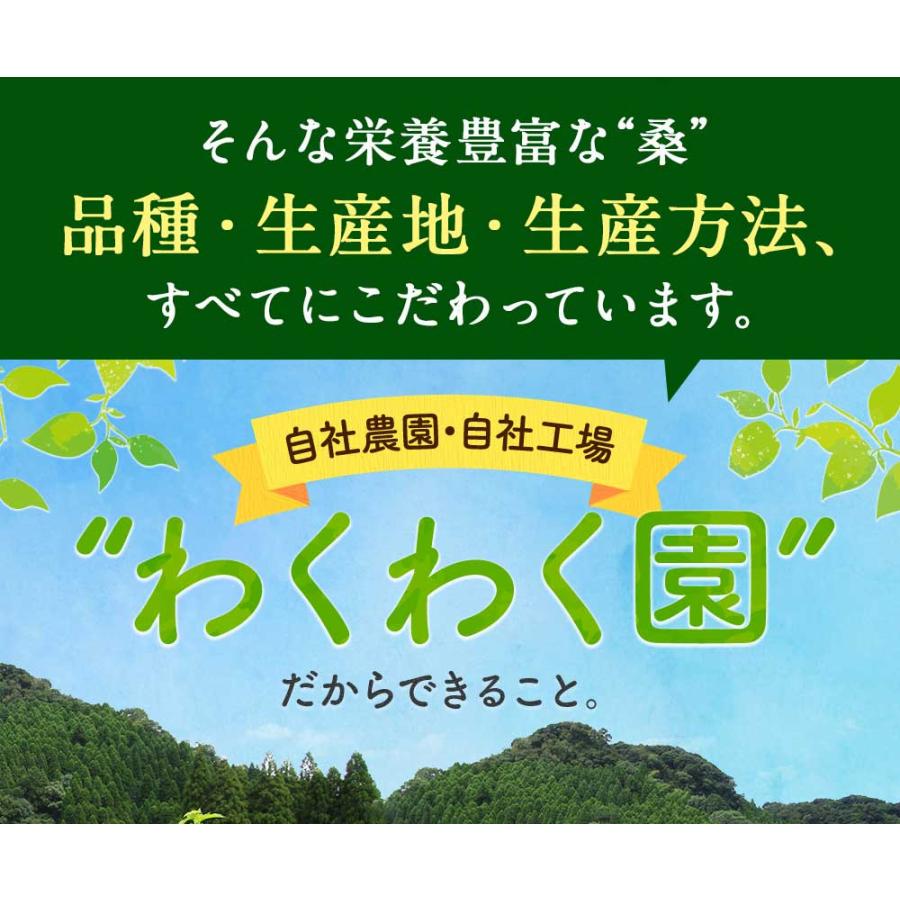 大容量 国産 さつま 桑 青汁 スタンドパック (100g×３)｜wakuwakuen｜11