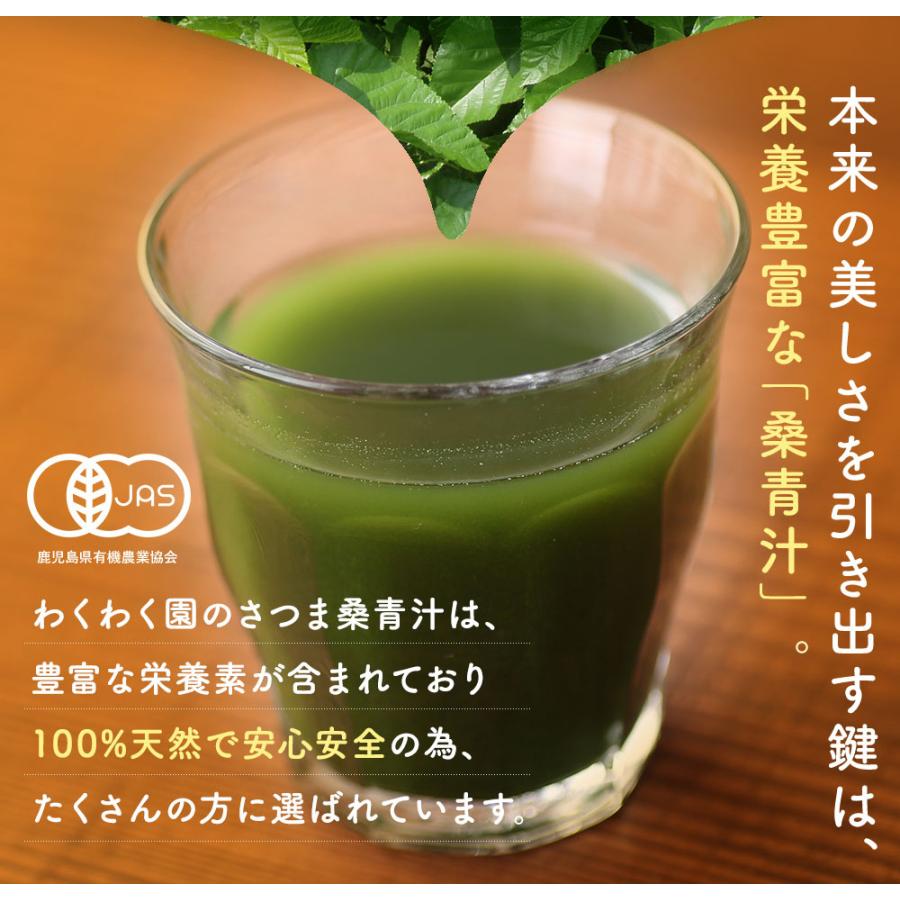 大容量 国産 さつま 桑 青汁 スタンドパック (100g×３)｜wakuwakuen｜07