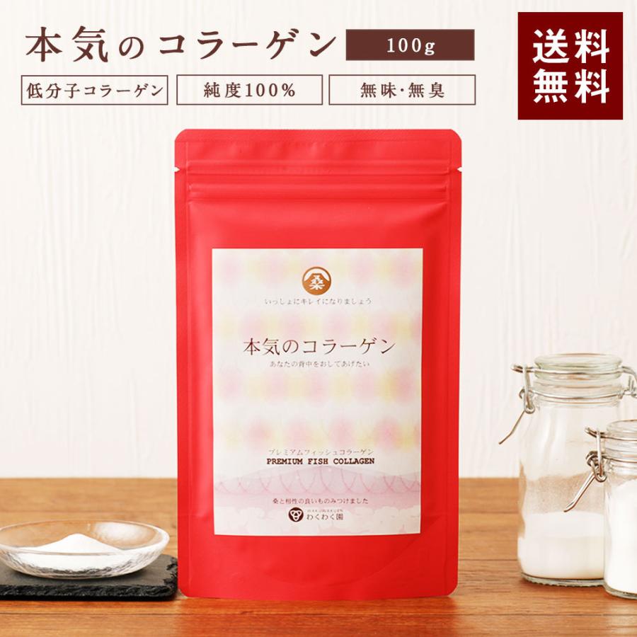 コラーゲン コラーゲンペプチド フィッシュコラーゲン 100g 無添加 パウダー コラーゲン粉末 魚皮｜wakuwakuen