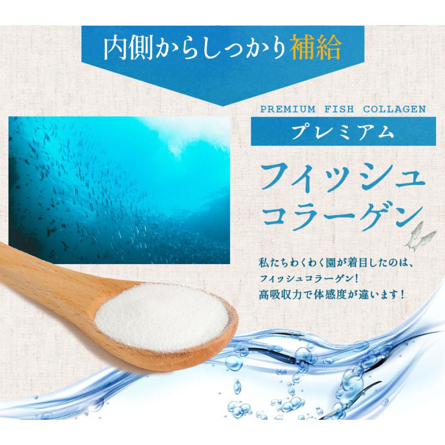 コラーゲン コラーゲンペプチド フィッシュコラーゲン 100g 無添加 パウダー コラーゲン粉末 魚皮｜wakuwakuen｜10