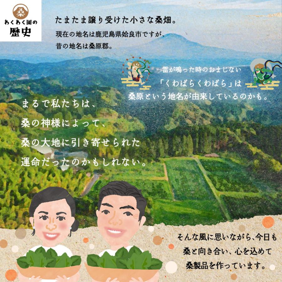 わくわく園 桑のほうじ茶 60包入り 送料無料 有機JAS 桑茶 桑の わくわく園 桑のほうじ茶 60包入り 送料無料 有機JAS 桑茶 桑の