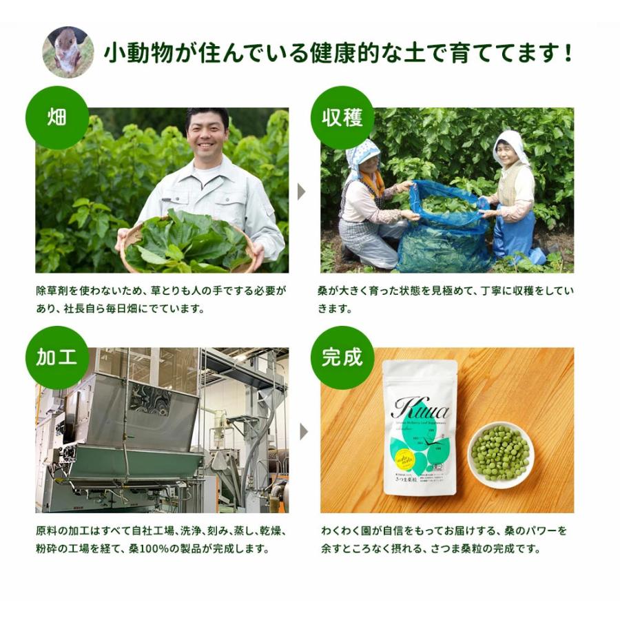 わくわく園 さつま桑粒 オーガニック 有機 JAS 270粒 無添加 国産