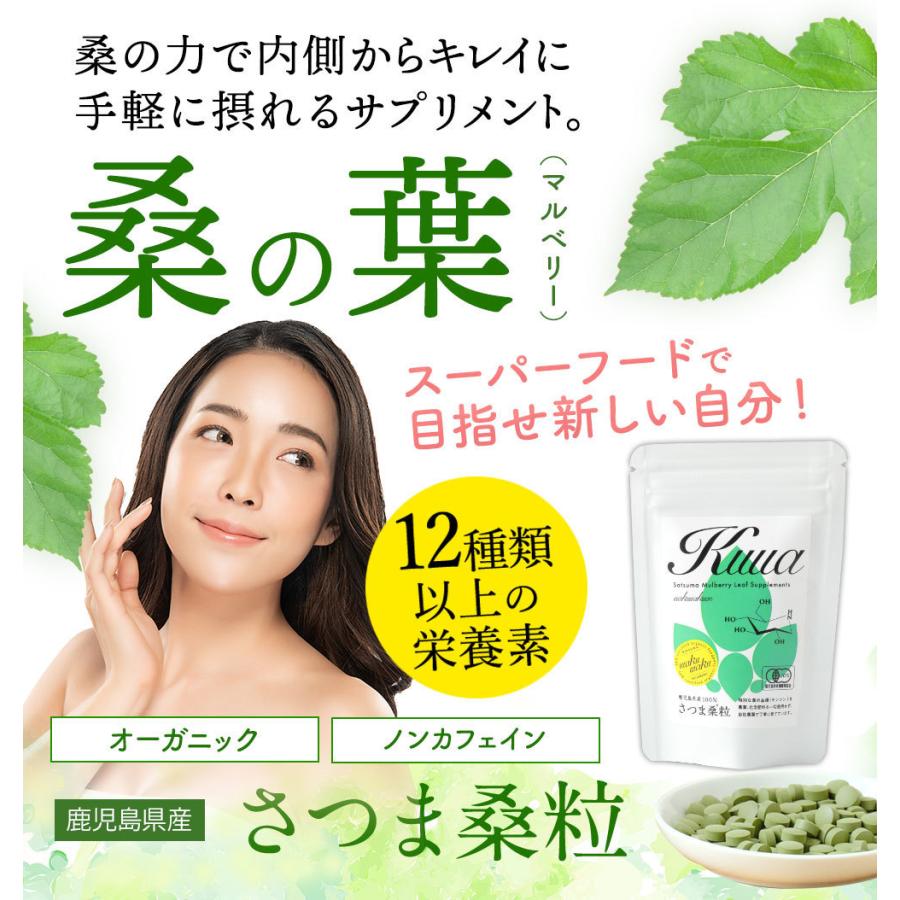 わくわく園 さつま桑粒 270粒 30日分 有機 桑の葉茶 サプリメント