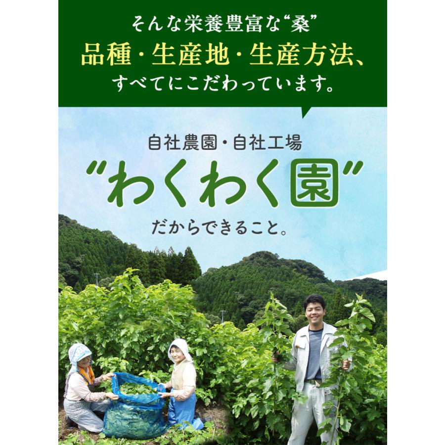 大容量 国産 さつま桑茶 (2g×30包入りが5袋＋1袋おまけ！)｜wakuwakuen｜12