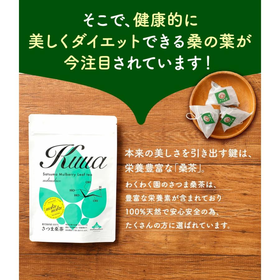 国産天然100％『柿の葉茶　５０ｇ』健康茶