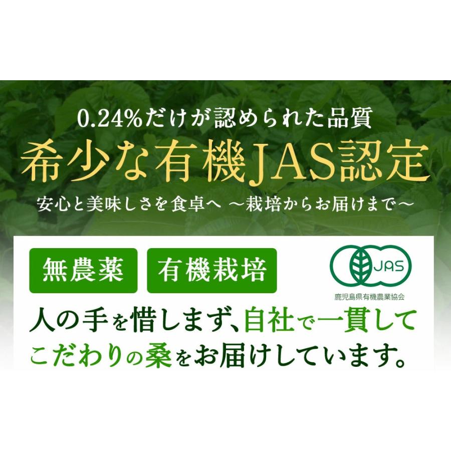 国産 さつま 桑 茶 ファミリーパック (2g×100包) 桑の葉 100％｜wakuwakuen｜15