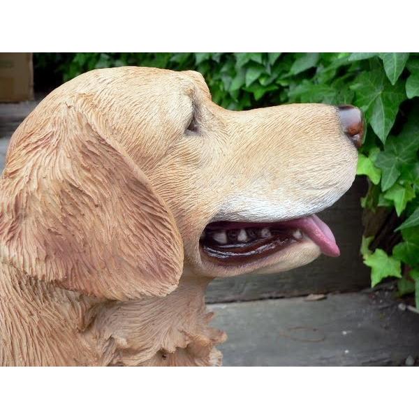 犬の置物 シェパードとゴールデンレトリバー 首輪付き 犬 オブジェ