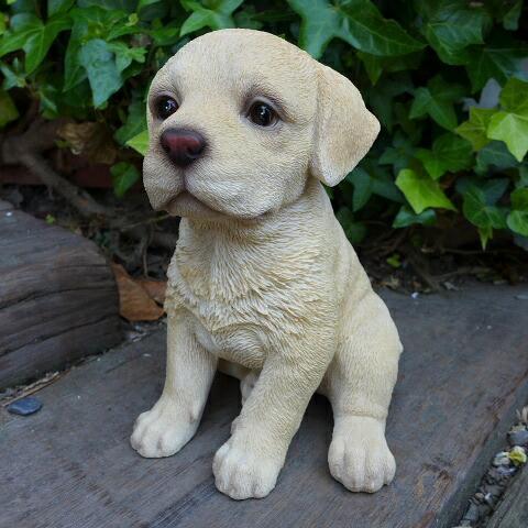 犬の置物 ラブラドール いぬ イヌ 動物 T14060 オーナメント 