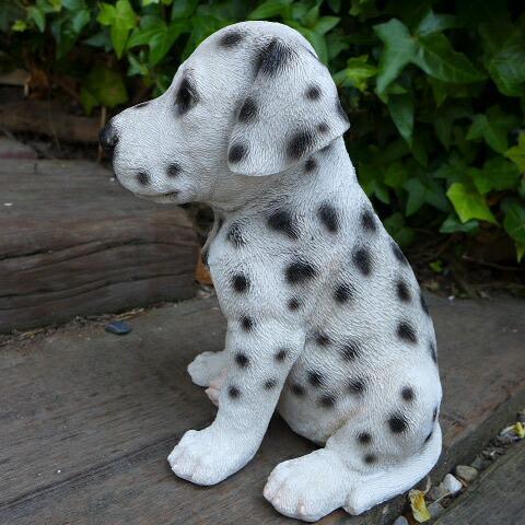 犬の置物 ダルメシアン いぬ イヌ 動物 T14070 オーナメント