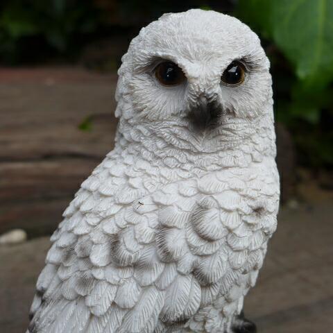 フクロウの置物 白 ふくろう N12877 鳥 とり 動物 フクロウの置物 白 ふくろう N12877 鳥 とり 動物