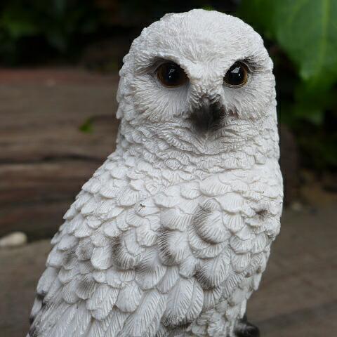 フクロウの置物 白 ふくろう N12877 鳥 とり 動物 オーナメント