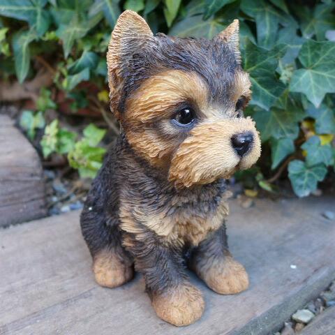 犬の置物 ヨークシャーテリア いぬ イヌ 動物 T14069 犬の置物 ヨークシャーテリア いぬ イヌ 動物 T14069