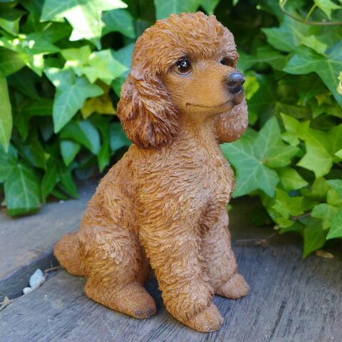 犬の置物 プードル いぬ イヌ 動物 T14077 オーナメント
