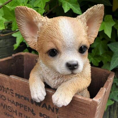 有名人芸能人 犬の置物 チワワ ハンギングドッグ ｔ１４２０１ いぬ イヌ 動物 オーナメント ガーデン 庭 マス ガーデニング オブジェ リアル インテリア 雑貨